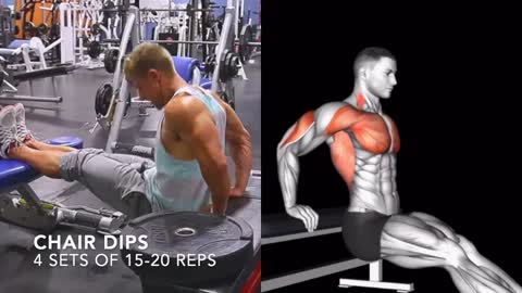 5 Best Triceps Workout (No Equipment)