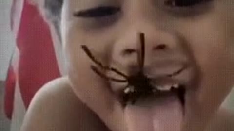 Spider Prank