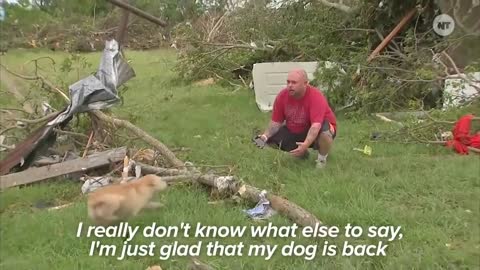 Dogs Meet Owners After Tornadoes