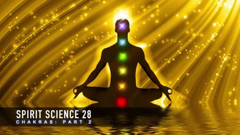 The Lower Chakras ~ Spirit Science 28