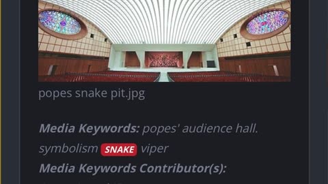 Pope’s Vatican Snake Auditorium