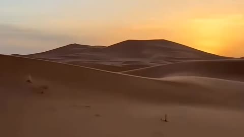 Why Don't We Produce Electricity By Installing Solar Panels In The Sahara Desert ?