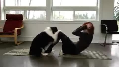 Dog Is Doing Yoga With His Owner