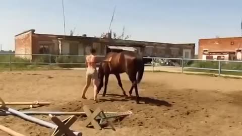 A horse helping a girl