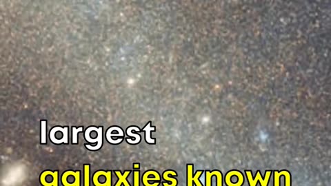 Biggest Galaxy In Our Universe