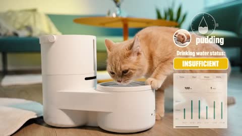 Drinkie: Your pet’s favorite self-cleaning water dispenser