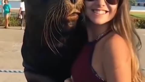 best glowing up animal videos#animals,selfie,girl