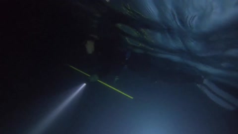 Night-time Freediving at Elbow Beach