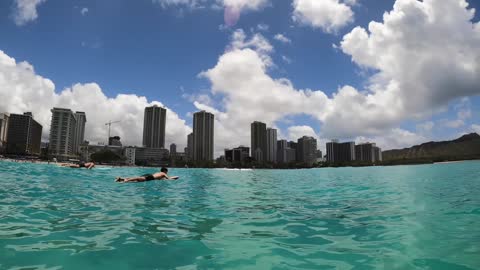 Surfing Waikiki Beach
