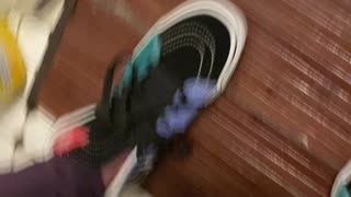 Vans sneakers shoe lace fl