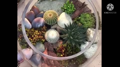 Plants decoration in fish bowl