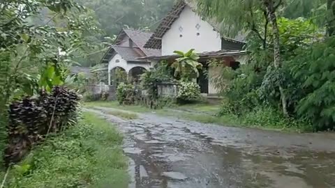 Village atmosphere in RAIN 🌧
