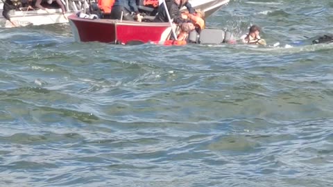 Boat Collision Causes Vessel to Sink