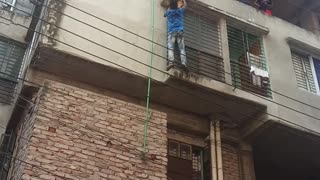 Kitty Rescued from Precarious Position