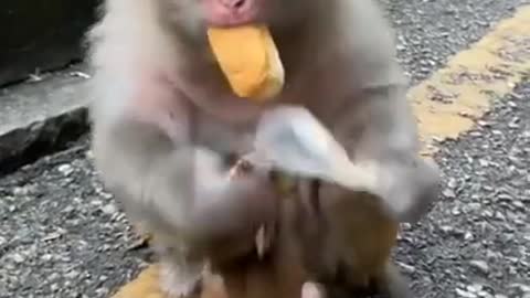 Mom Eats While Baby Enjoys Cuddles