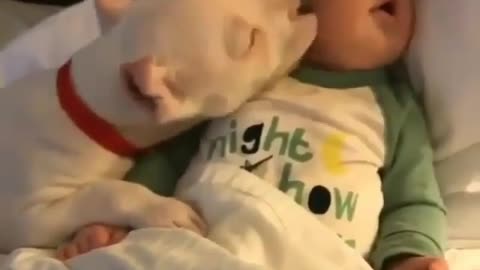 Funny Dog Kisses Little and cute baby while sleeping