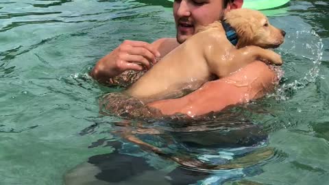 Puppy's first swim is a huge success