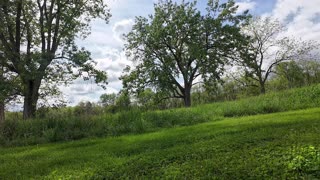 Watershed Restoration Spot 2