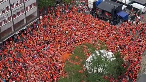 Dutch fans perform viral dance