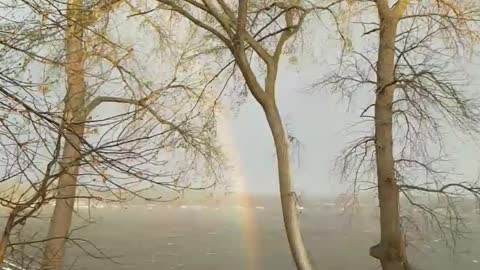 Minnesota Family accidentally found what's at the end of the Rainbow!