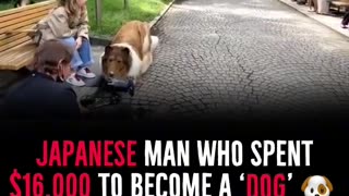 A Japanese man paid 16,000 dollar to become a dog