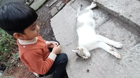 A cute boy play with cute kitty..