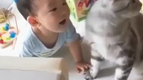 Criança brincando com seu lindo gatinho fofo!♾