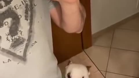 Dog humping owner while brushing his teeth