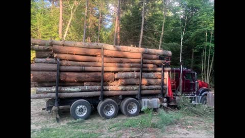 CL Smith Timber Processing - (978) 209-5767