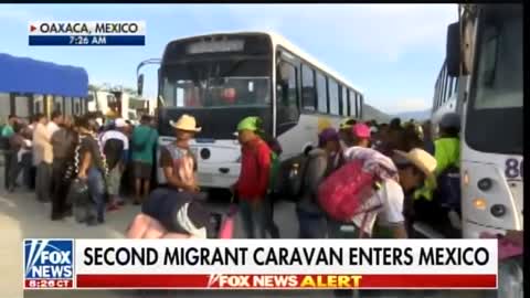 Fox News Reporter － Organized Bus Operation In Mexico Is Transporting Immigrants