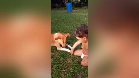 lovely baby with funny dog