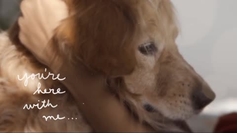 This girl made a music video for her adopted dog - Larissa Dsa | #AdoptDontShop