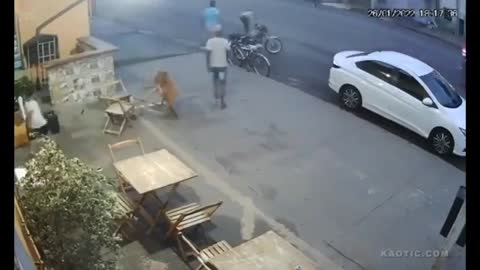 A thief comes to threaten with a gun and beats him