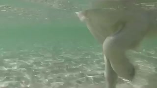 Underwater Prance