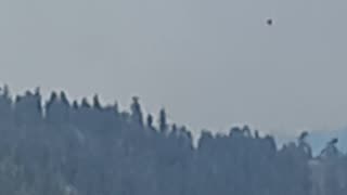 Two helicopters working on taking out the fire in west kelowna