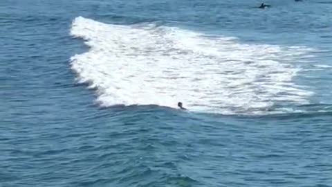 Guy on surfboard falls off while riding a wave