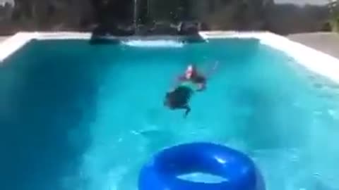 Dog saves his master who pretended to drown