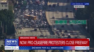 Protesters calling for cease-fire in Gaza shut down SB 110 Freeway in downtown LA