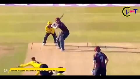 Cricket moment