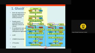 TRILCE SEMESTRAL 2021 | SEMANA 08 | BIOLOGÍA: BIOENERGÉTICA