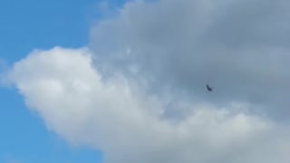 Home Made F-22 RC Plane Being Flown By Friend