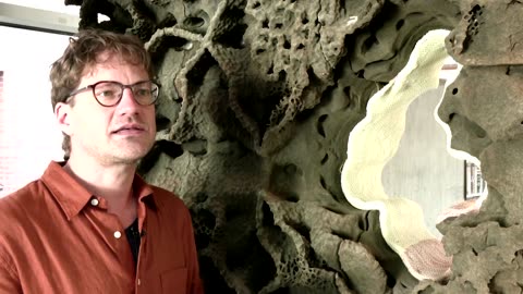 Could termite tunnels inspire climate-smart buildings?
