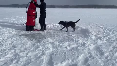 Pitch a tent in the snow