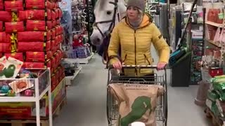 Horse Helps Owner Buy Her Groceries