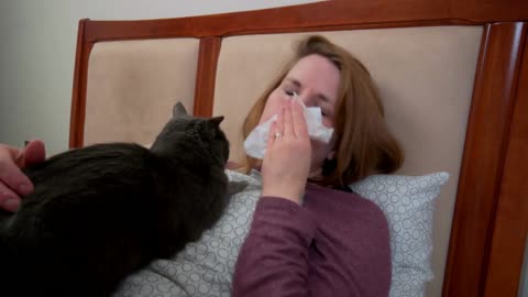 Woman Laying In Bed Coughing And Blowing Nose With Cat