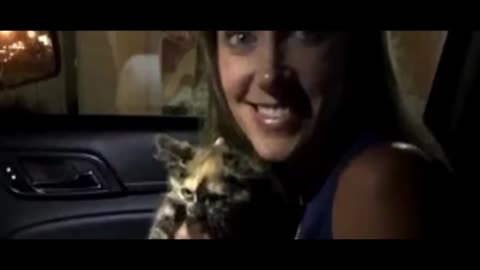 😺Heroic Kitten Rescues: Saving a Flood of Adorable Kittens! 🦸‍♂️🐱😺