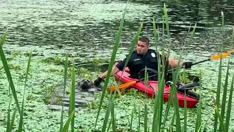 Cops commandeer kayak to rescue dog neck-deep in pond muck
