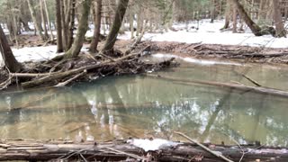 Five Day Thru Hike on the Baker Trail - Video 06 We reached an untouched section of the Baker Trail