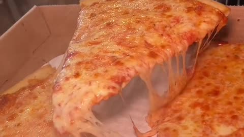 Tomato Sauce and Cheese Pizza