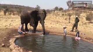 Turista é molhada por elefante africano